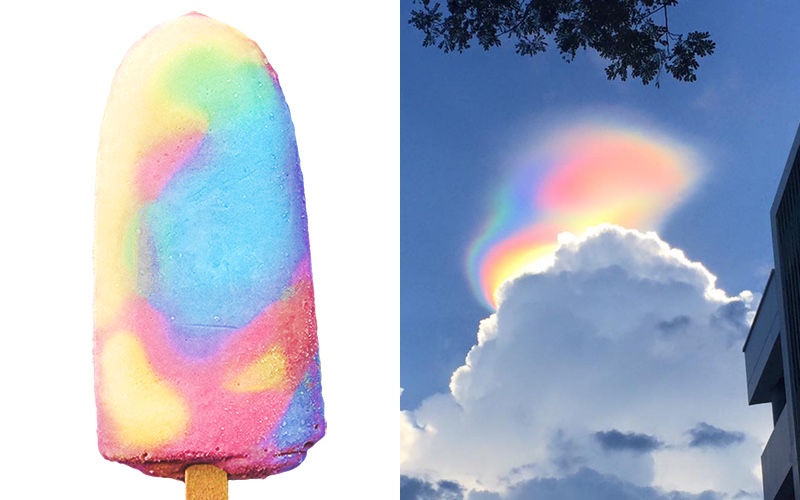 Photo: The Hunt / Nathalie Delbecq‎