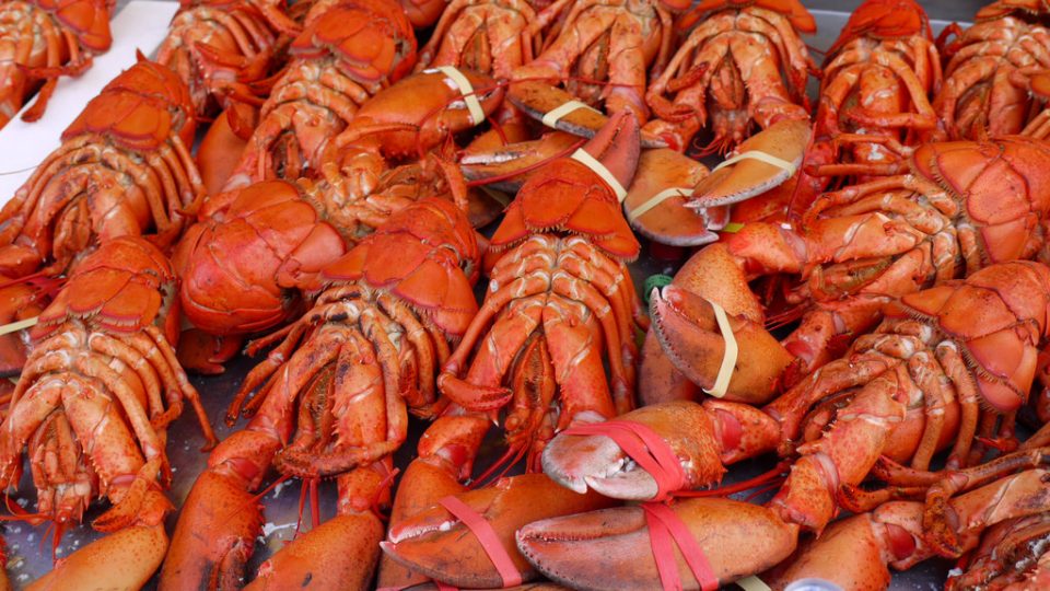 Photo illustration. Photo: Rebecca Siegel / Flickr 