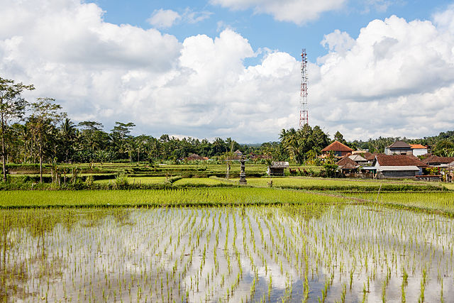 Gianyar, Bali. Photo: Wikimedia Commons