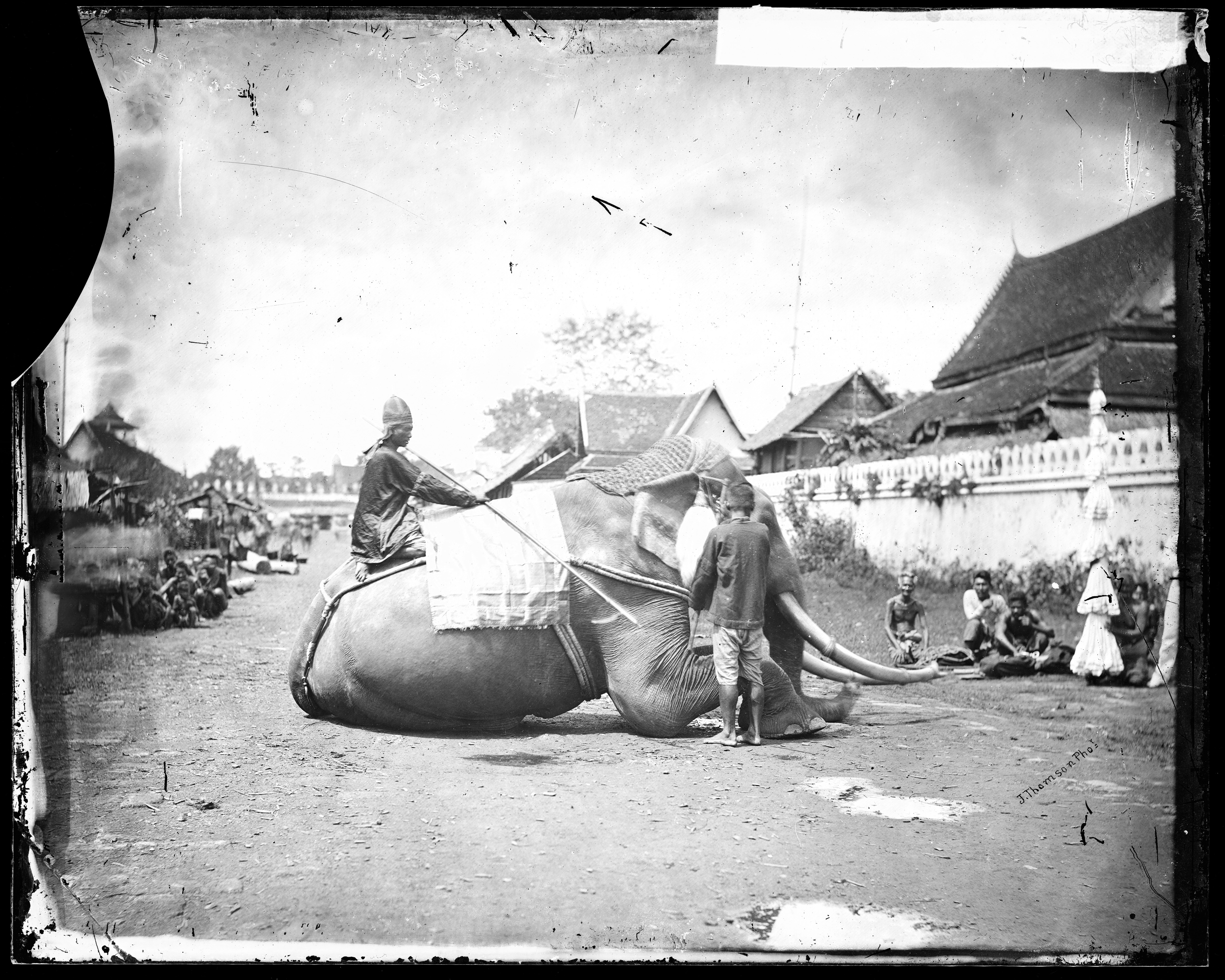 A Siamese war elephant in 1866.
Photo: Wellcome Library, London / John Thomson