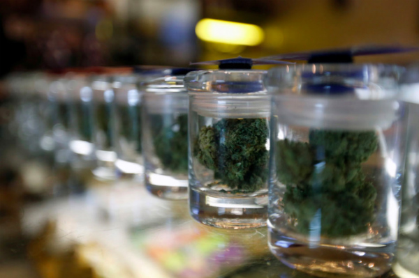 Marijuana may be used for medical purposes. PHOTO: File