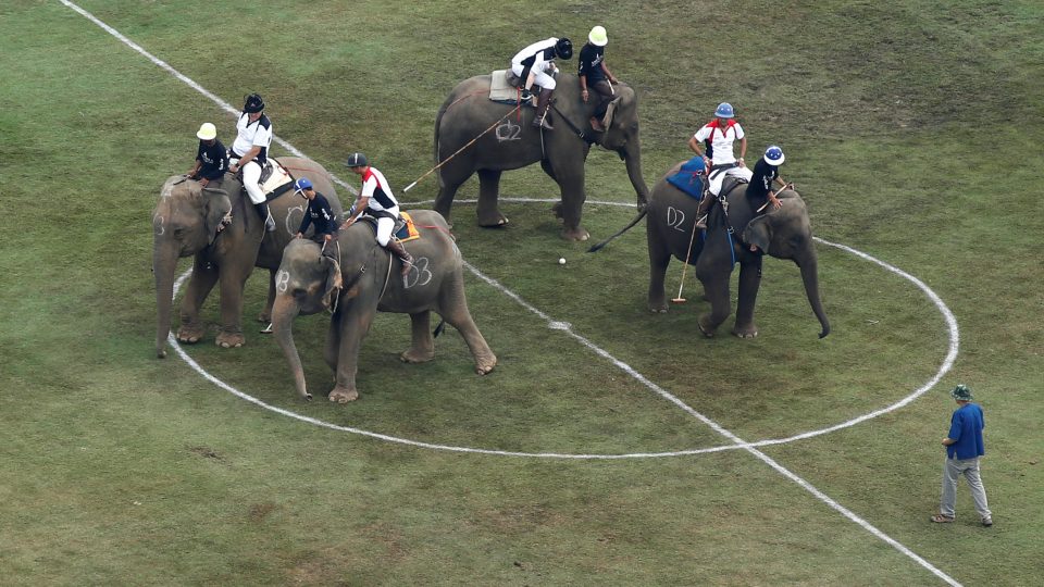 Players take part in a match during the annual King’s Cup Elephant Polo Tournament at a riverside resort in Bangkok, Thailand March 9, 2017. Photo: Jorge Silva/ Reuters
