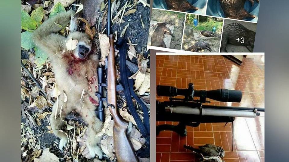 All photos: Queen of Spades/Facebook