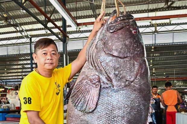 Photo: George Cheah / The Star