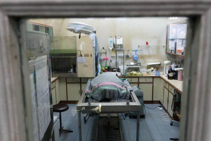 Omsin, a 25-year-old female green sea turtle, had 915 coins removed from her stomach earlier this month is pictured inside an ICU room at the Faculty of Veterinary Science, Chulalongkorn University in Bangkok, March 20, 2017. Photo: Athit Perawongmetha/ Reuters