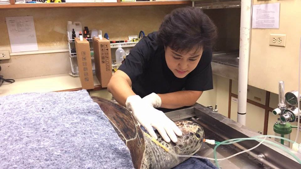 Photo: Dr. Nantarika Chansue/ Facebook