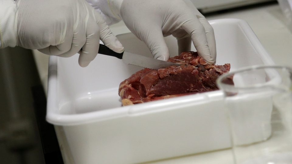 A veterinarian analyses a piece of meat from a Brazilian supermarket, at a veterinary laboratory with the public health department in Rio de Janeiro, Brazil, March 20, 2017. Photo: Ricardo Moraes/Reuters