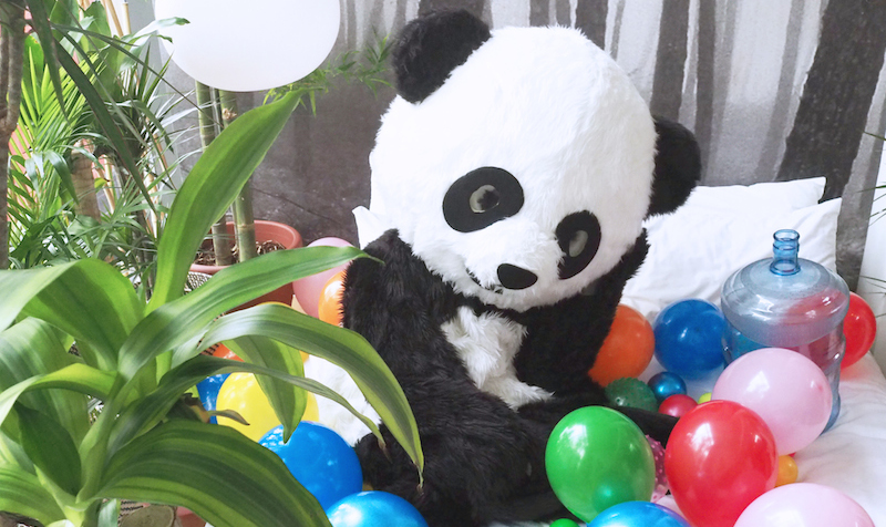 The ‘Pandanctuary’