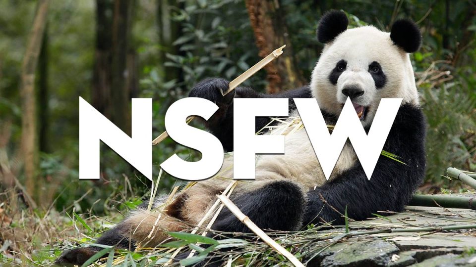 Photo: Wildlife Reserves Singapore / Facebook