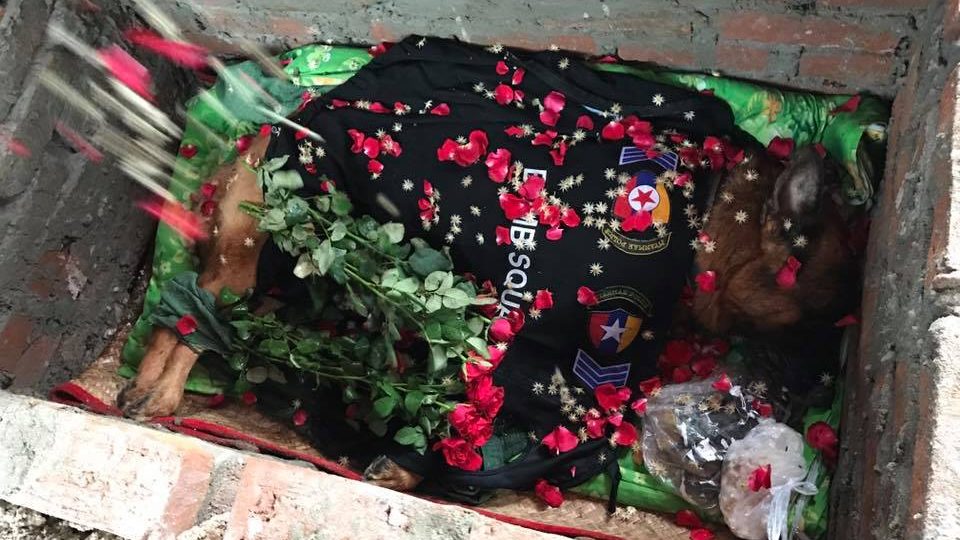 RIP Sergeant Michael. Photo: Facebook / Lay Kyi Phyu