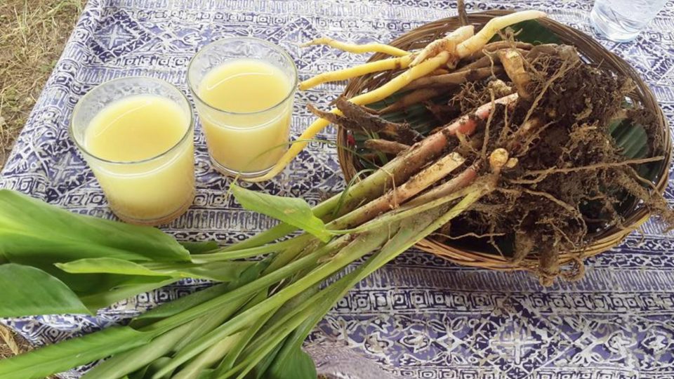The ginger jamu next to the roots it is made from. Photo: Kunchi 