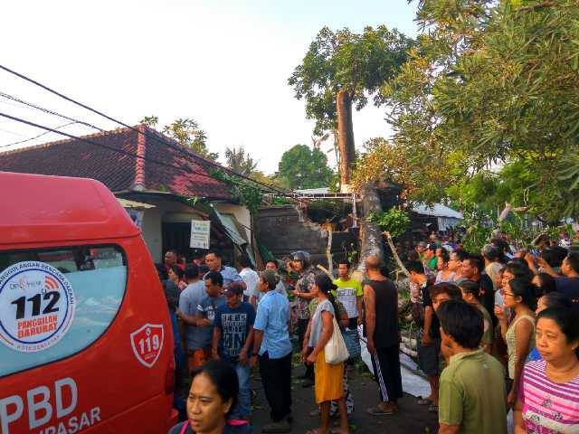 A tree fell at Sanur’s Pasar Intaran on Thursday morning, injuring four. Photo: Pusdalops BPBD Kota Denpasar