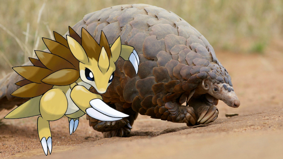 Pangolin Sandslash