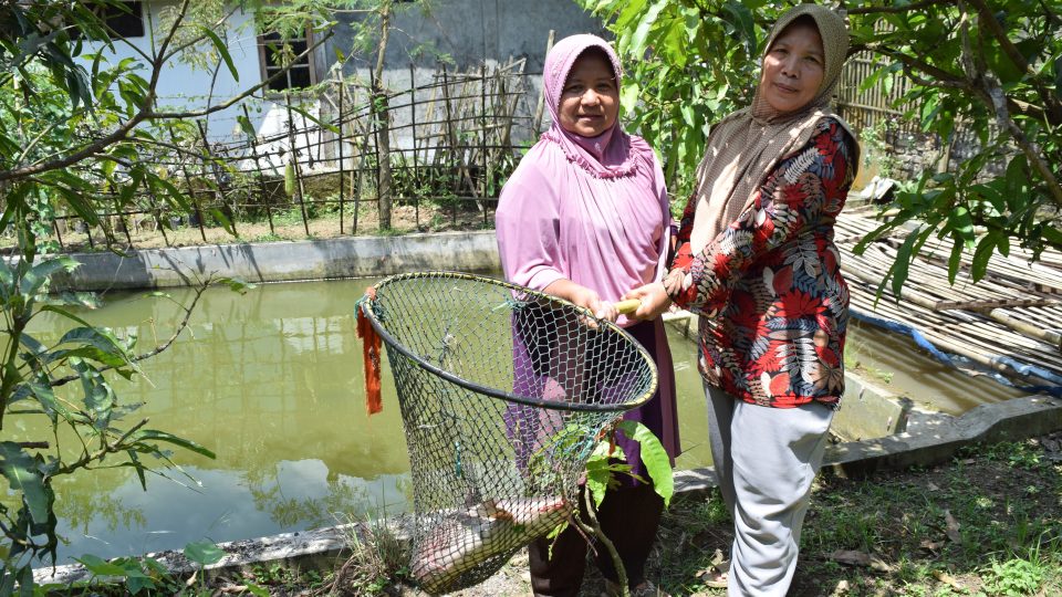 Indonesian former domestic helpers Enok Salamah (left) and Aan (right) hold a catfish in a net at a fish farm in Caringin village on Indonesia’s Java island on April 10, 2017. The catfish farm is an initiative to help victims of trafficking to reintegrate into society. Thomson Reuters Foundation/Beh Lih Yi