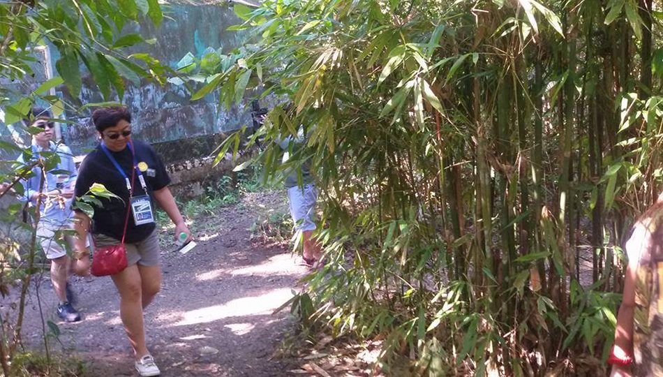 ASEAN delegates roaming around Bohol. PHOTO: ABS-CBN News