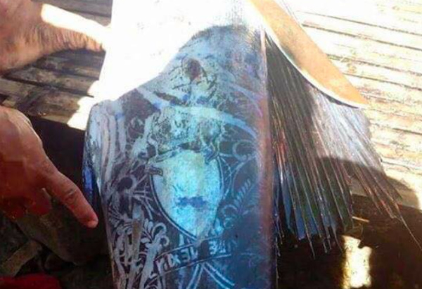 The 24-kilogram blue marlin had intricate markings on its skin. PHOTO: ABS-CBN News