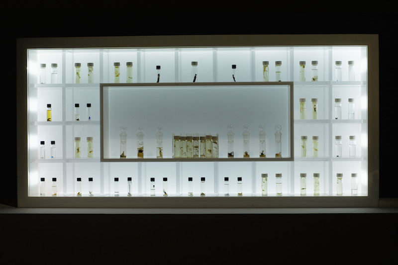 artscience museum human exhibition