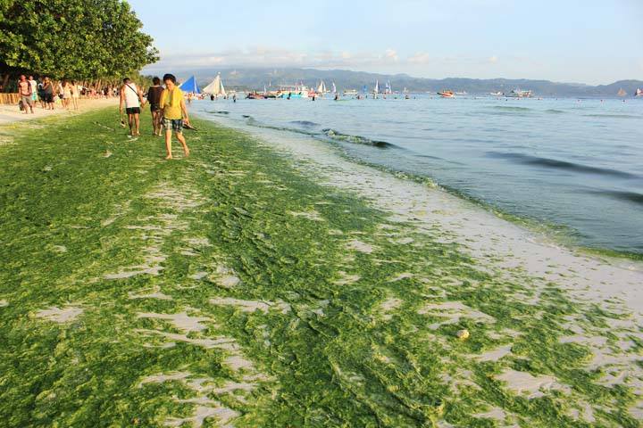 Boracay in May 2017 PHOTO: Facebook/Radyo Todo Aklan 88.5 FM