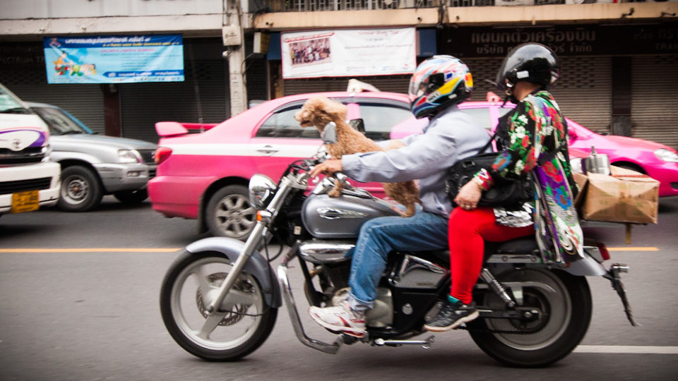 At least these guys are wearing helmets. Photo: Coconuts